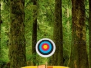 Play Wild Forest-Hidden Targets