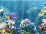 Play Hidden Objects-Underwater World