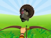 Play Turkey Hidden Target