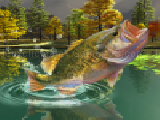 Play Puzzles :  big fish