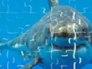 Play Shark jigsaw puzzle