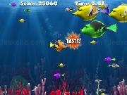 Play Fishmunch