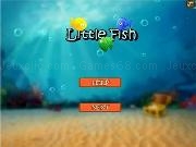 Play Little fish