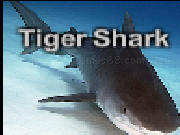Play Tiger shark