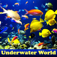 Play Underwater world