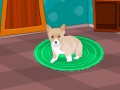 Play Pet home