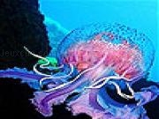 Play Colorful chubby jellyfish slide puzzle