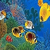 Play Perfect ocean fishes puzzle