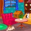 Play Pets home