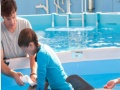 Play Hidden numbers-dolphin tale