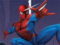 Play Spiderman stone breaker