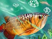 Play Deep sea tropical fish slide puzzle