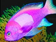 Play Beautiful ocean fishes puzzle