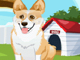 Play Corgi care