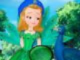 Play Princess amber hidden stars