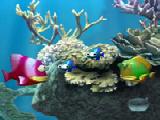 Play Fish tales 4