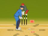 Play T20 worldcup 2012