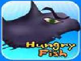 Play Hungry fish hd