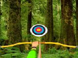 Play Wild forest-hidden targets