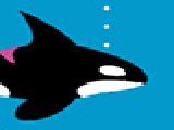 Play Blackfish