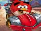 Play Angry birds hidden tires