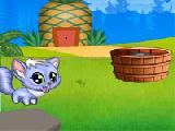 Play Naughty cat adventure