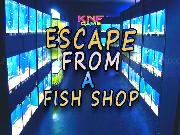 Play Knf Escape From a Fish Shop