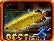 Play Steal Arowana Fish