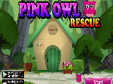 Play Pink owl rescue now