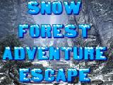 Play Snow forest adventure escape