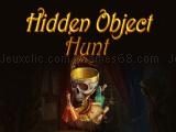 Play Hidden object hunt