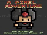 Play A pixel adventure vol.1