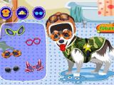 Play My cute dog bathing