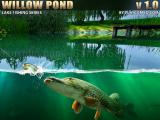 Play Willow pond fishing