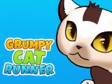 Play Grumpy cat runner