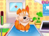 Play Cute puppy dentist