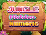 Play Jungle hidden numeric