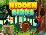 Play Hidden birds