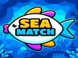 Play Sea match