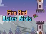 Play Fire and water birds