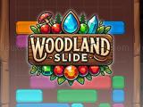 Play Woodland slide