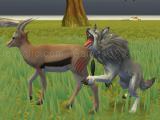 Play Wolf life simulator