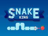 Play Snake king